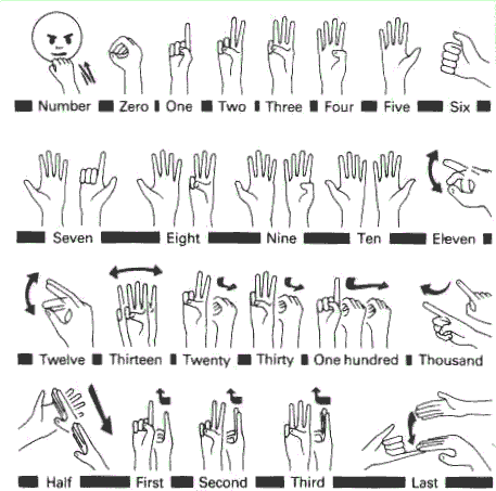 sign language words