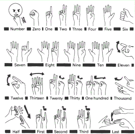 This image gives the numeric signs